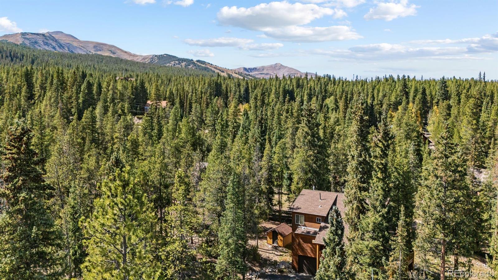 MLS Image #19 for 14  miners court,blue river, Colorado