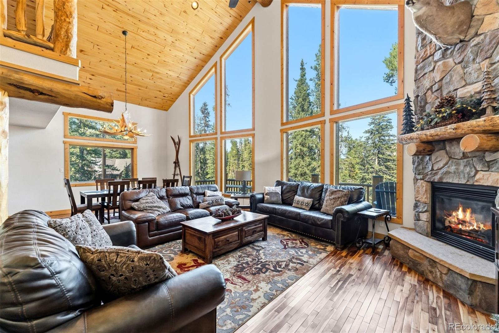 MLS Image #2 for 14  miners court,blue river, Colorado