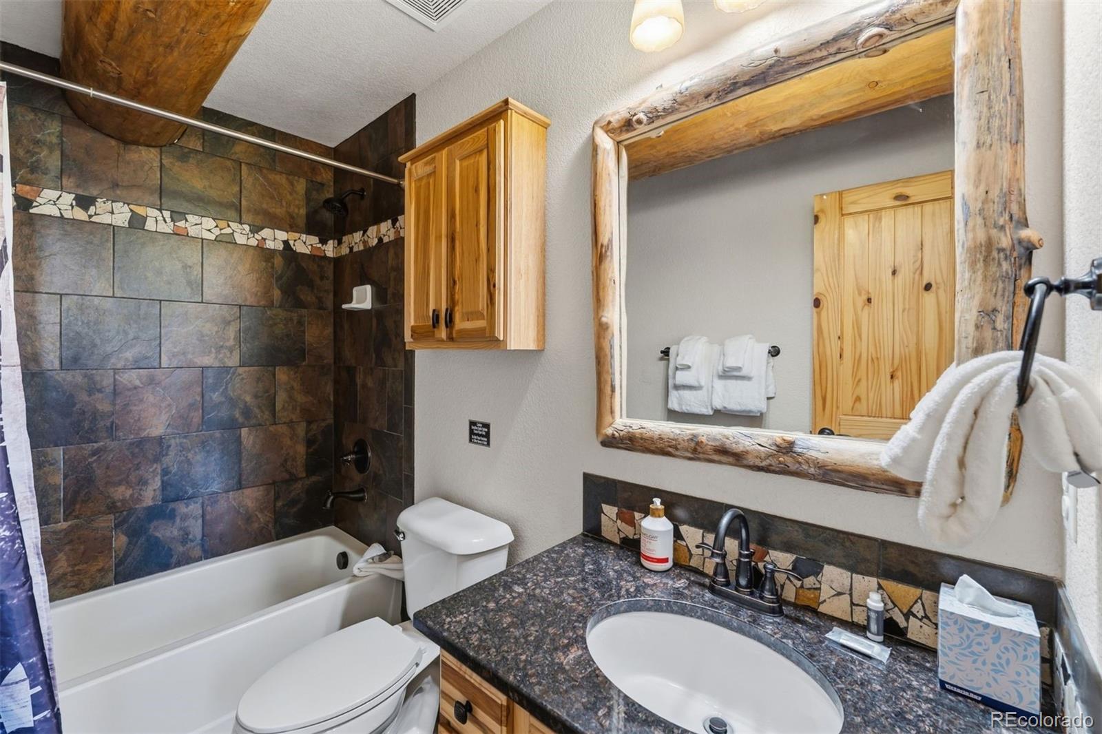 MLS Image #22 for 14  miners court,blue river, Colorado