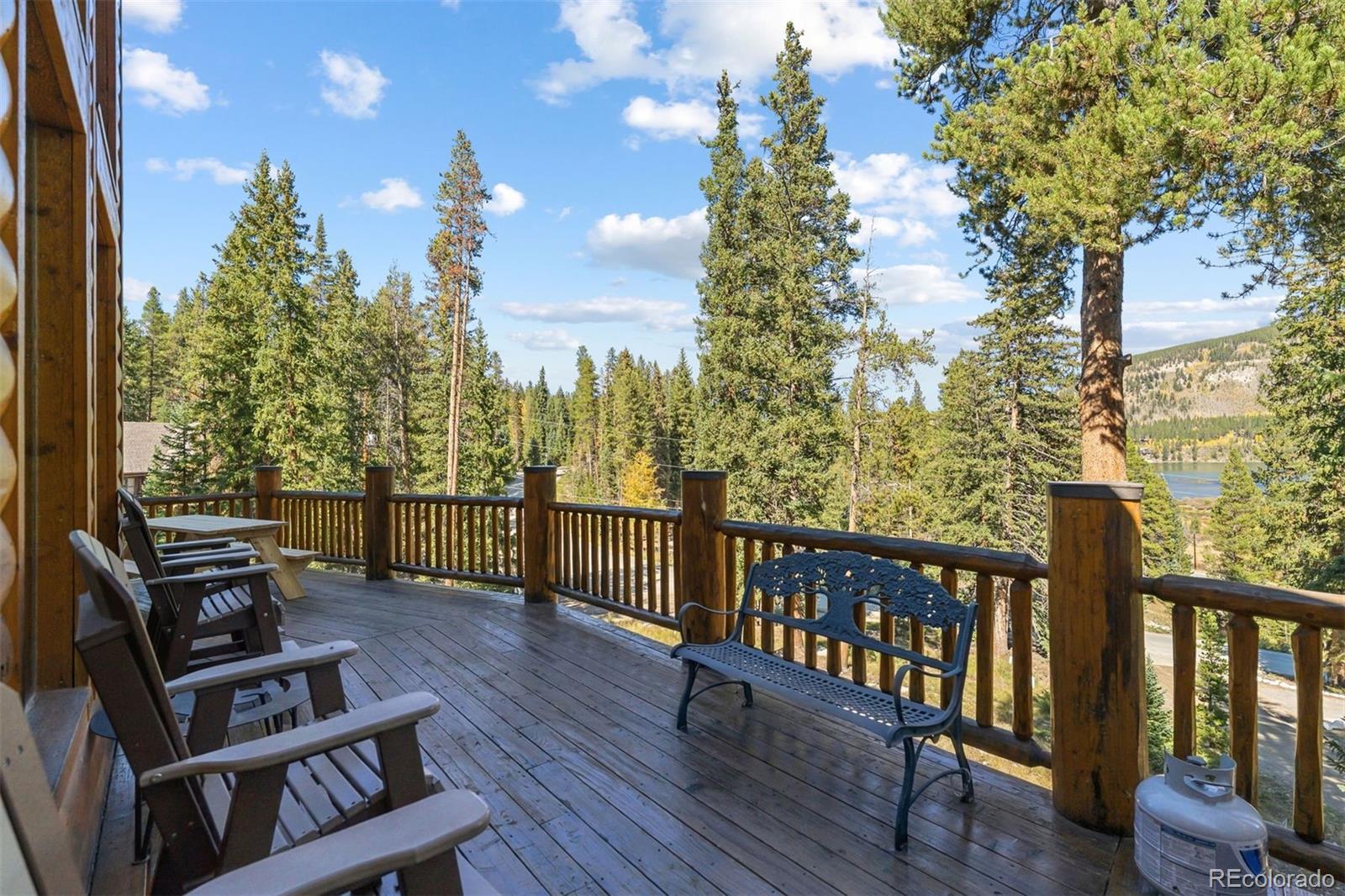 MLS Image #23 for 14  miners court,blue river, Colorado