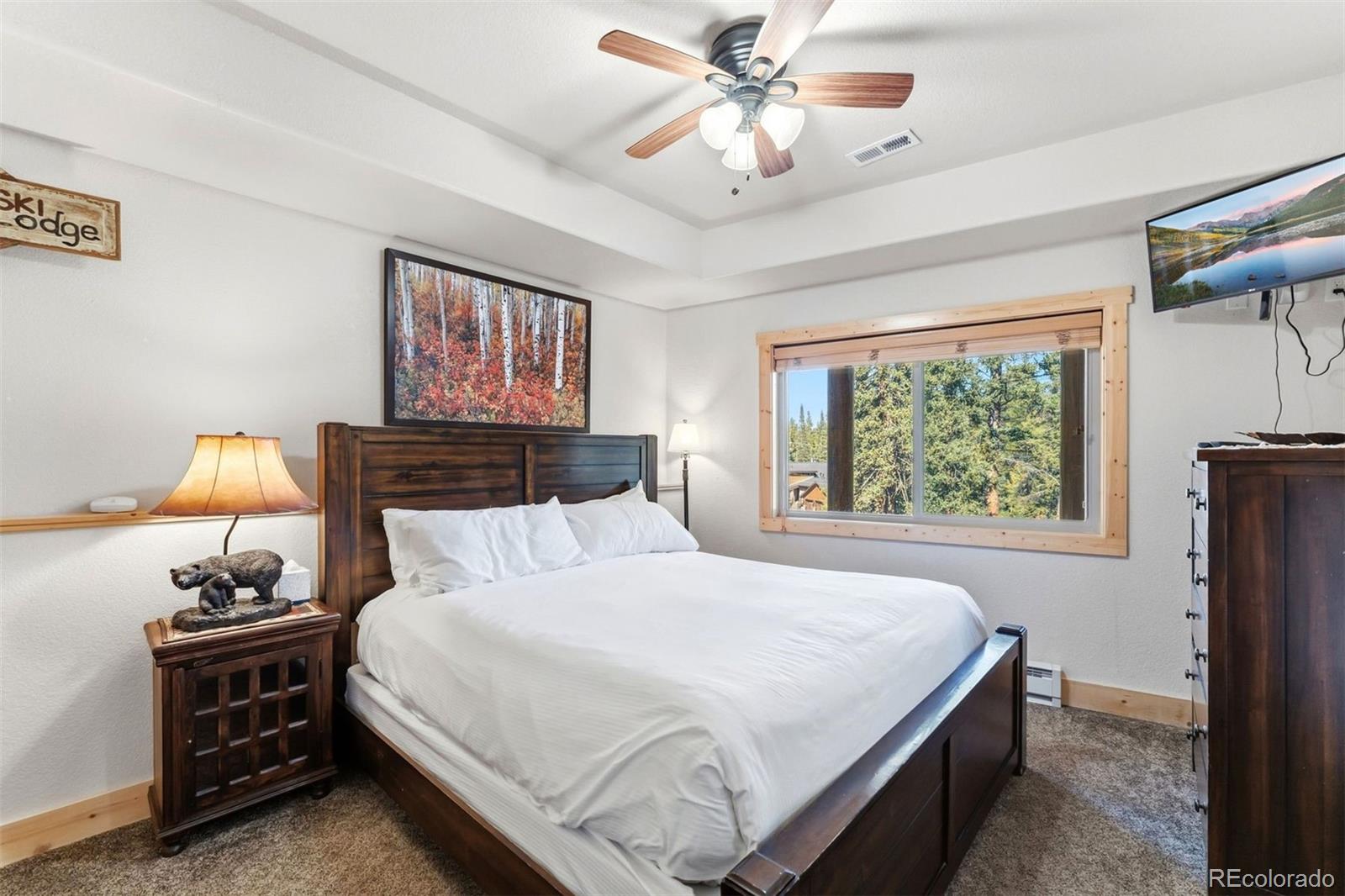 MLS Image #26 for 14  miners court,blue river, Colorado