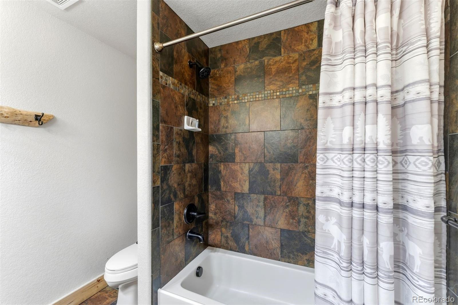 MLS Image #29 for 14  miners court,blue river, Colorado