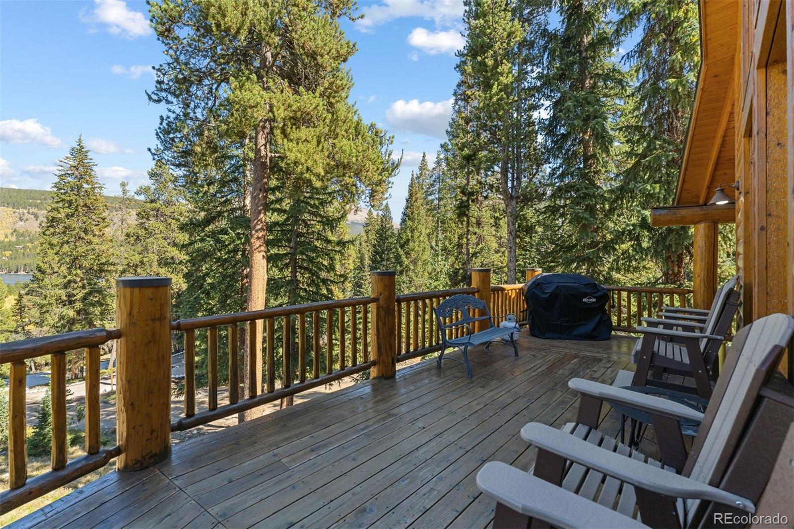 MLS Image #31 for 14  miners court,blue river, Colorado