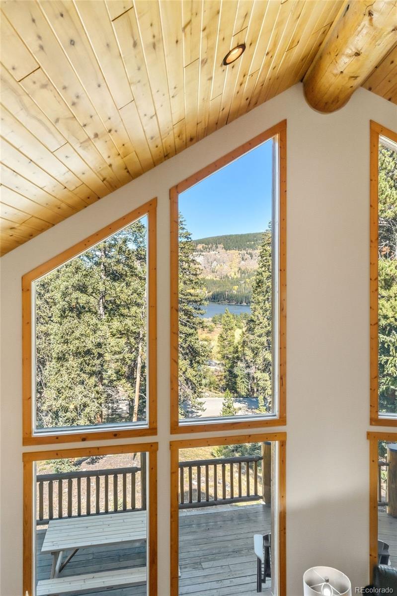 MLS Image #7 for 14  miners court,blue river, Colorado