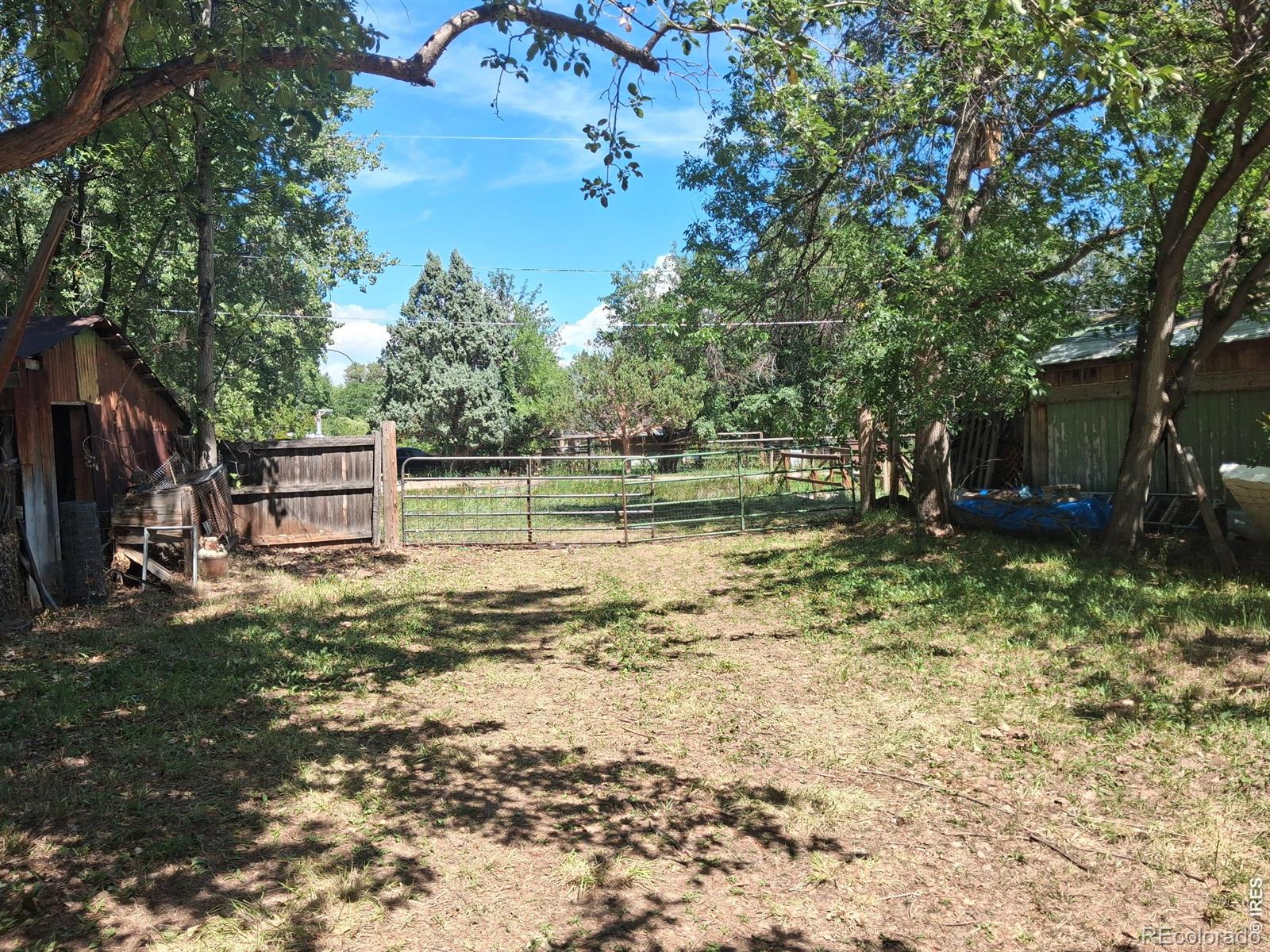 MLS Image #27 for 3404  orchard drive,laporte, Colorado