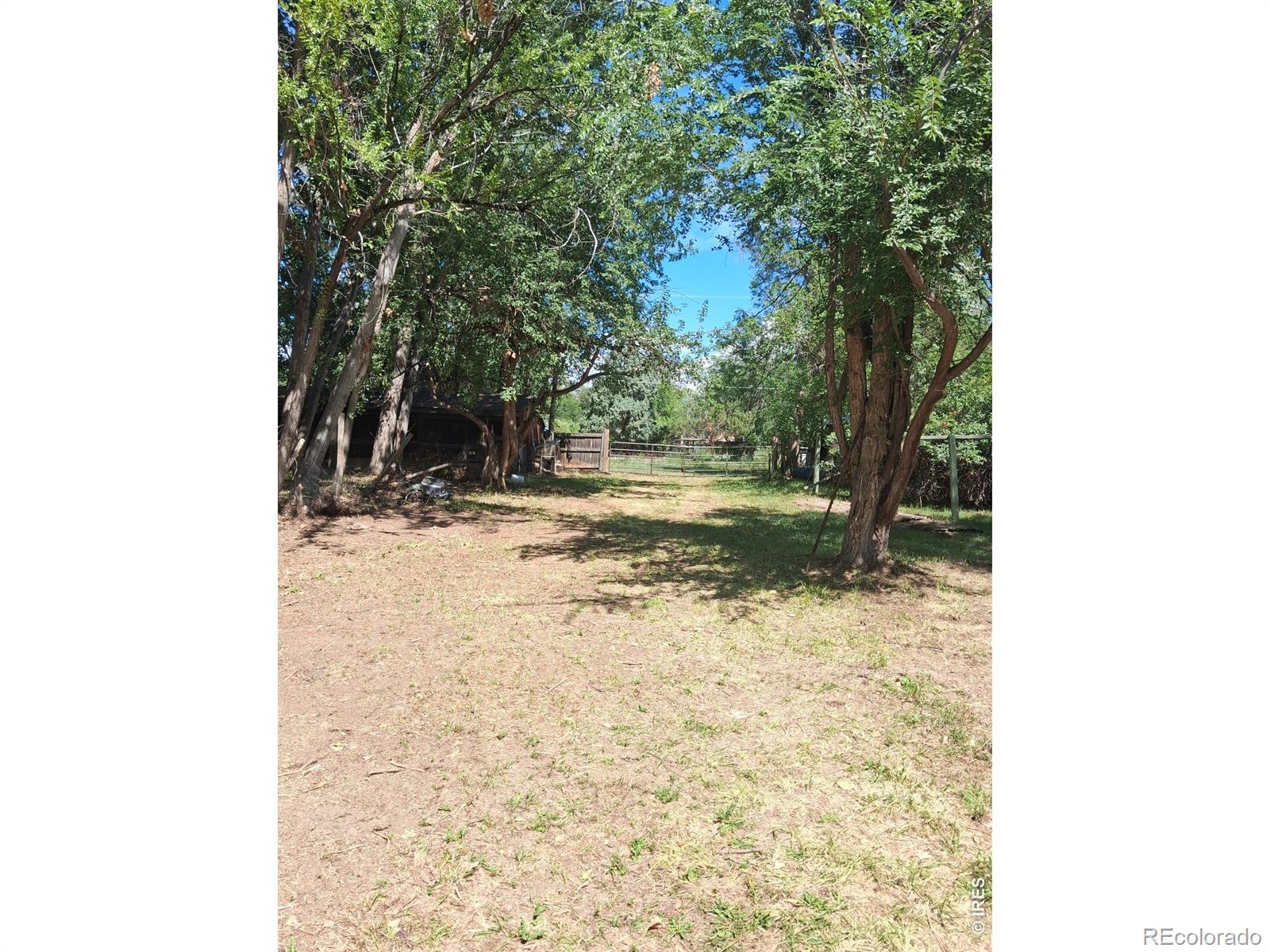 MLS Image #29 for 3404  orchard drive,laporte, Colorado