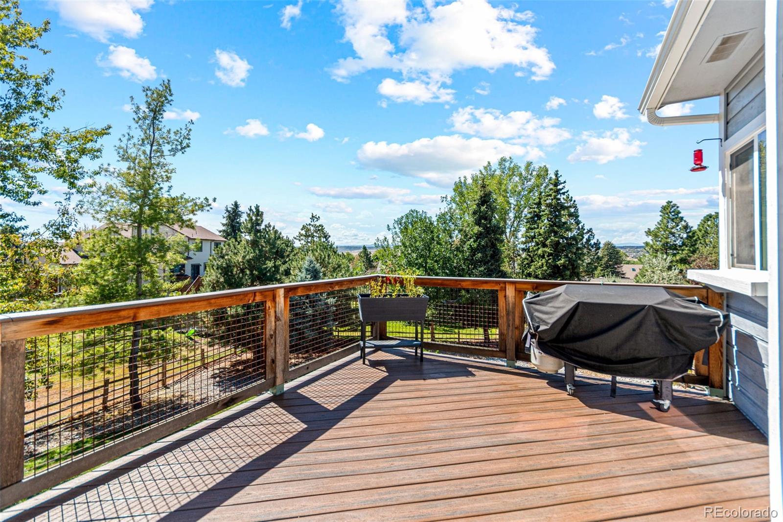 MLS Image #18 for 5134  aster court,parker, Colorado