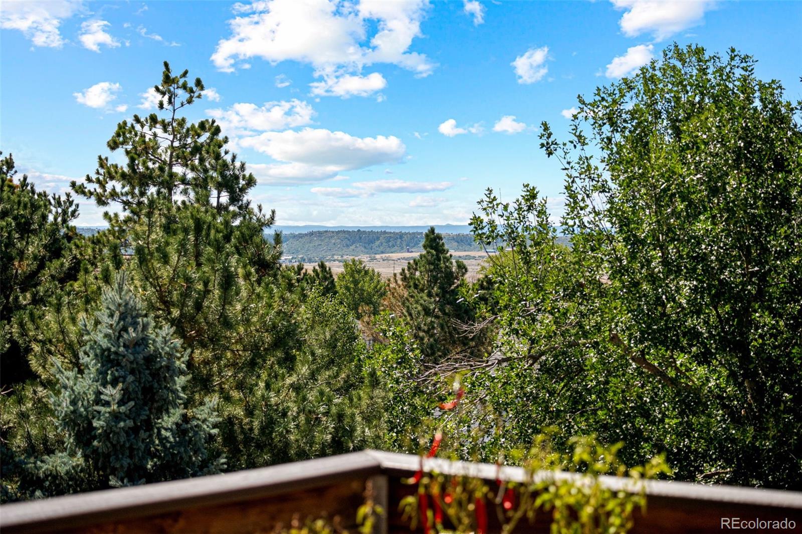 MLS Image #19 for 5134  aster court,parker, Colorado
