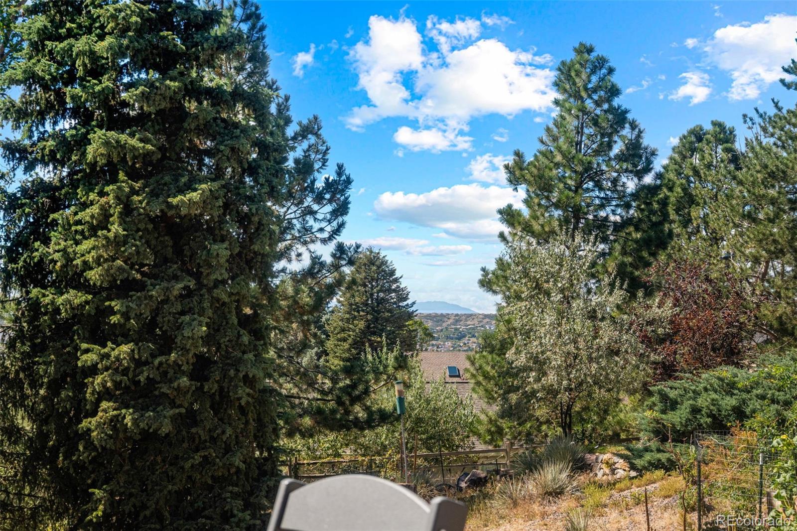MLS Image #42 for 5134  aster court,parker, Colorado