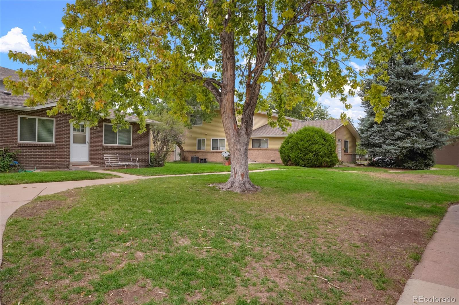 MLS Image #22 for 3351 s field street,lakewood, Colorado