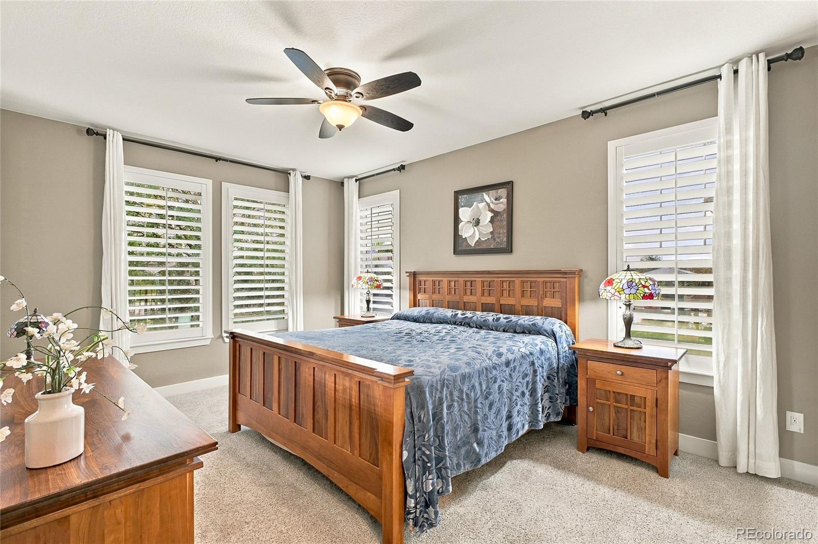 MLS Image #13 for 10156  nadine avenue,parker, Colorado
