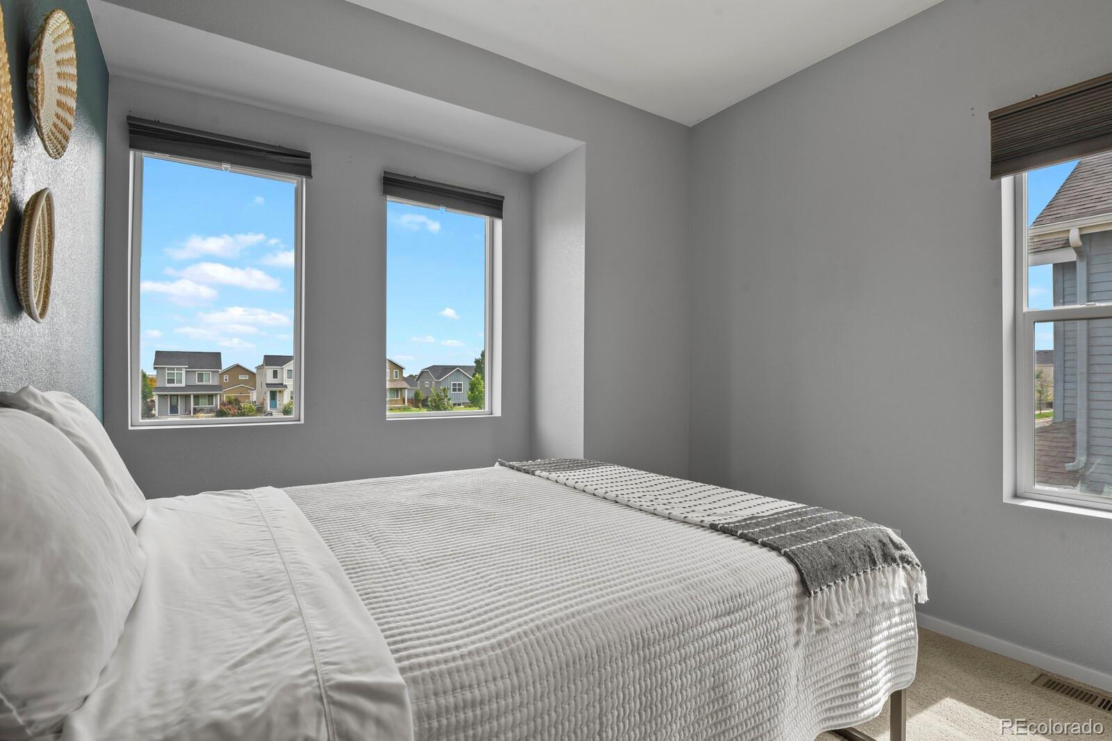 MLS Image #32 for 4684  crestone peak street,brighton, Colorado