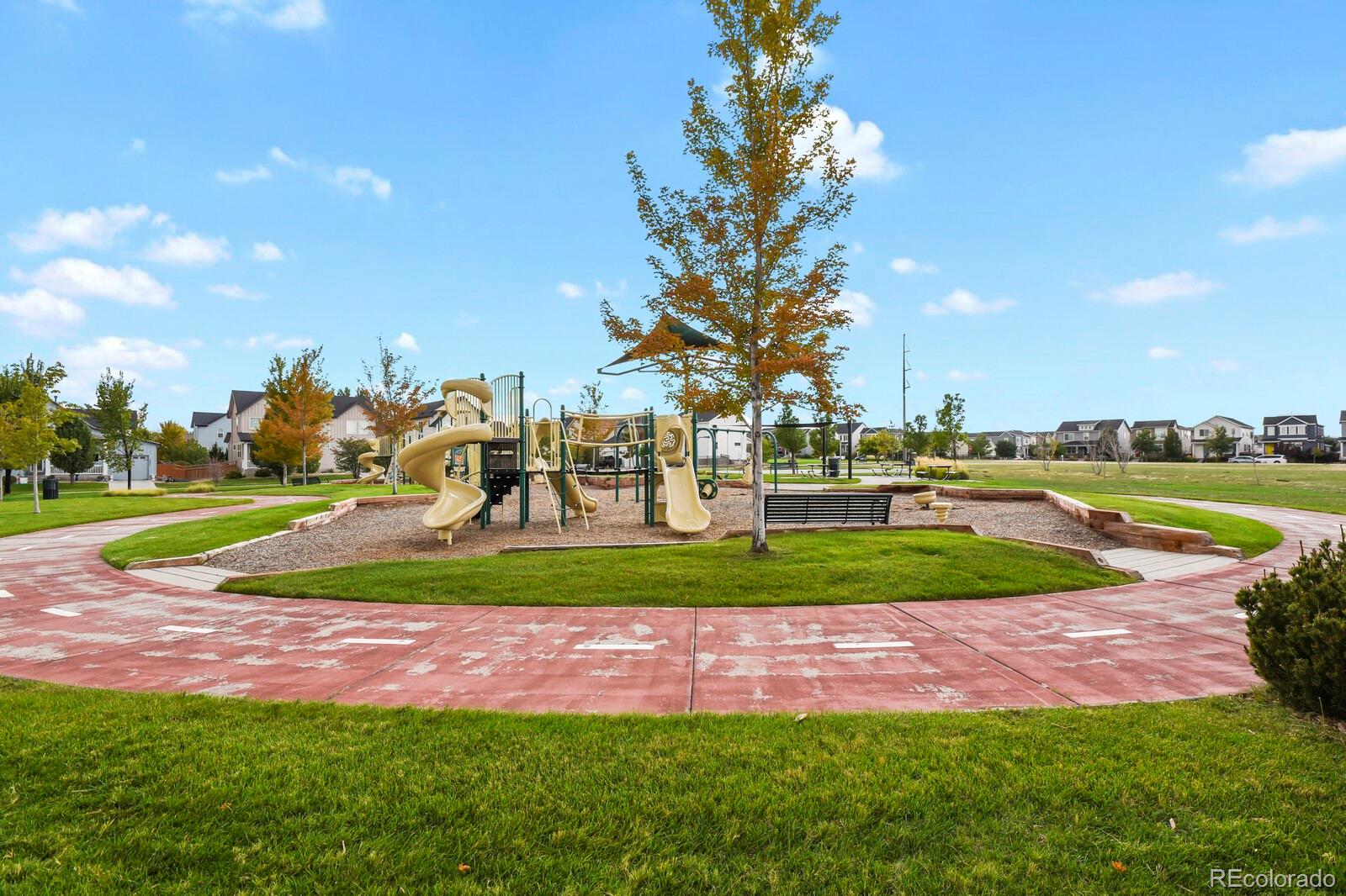 MLS Image #45 for 4684  crestone peak street,brighton, Colorado