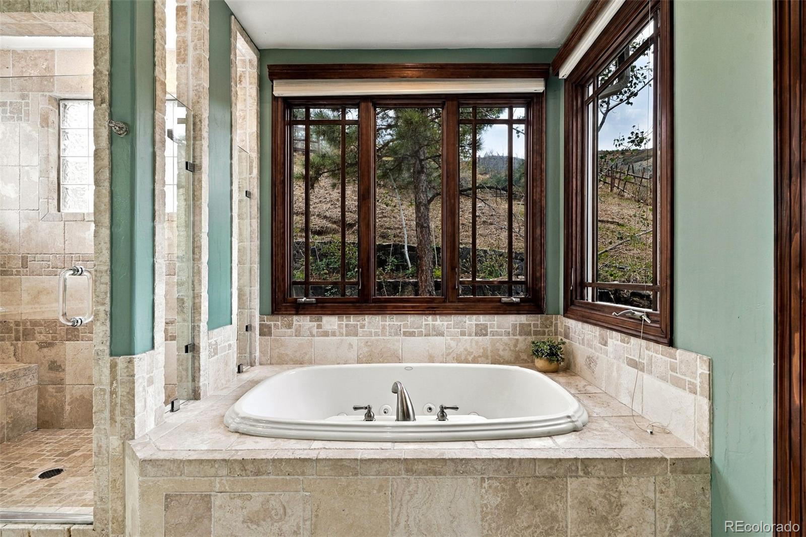 MLS Image #28 for 16632  golden rod lane,morrison, Colorado
