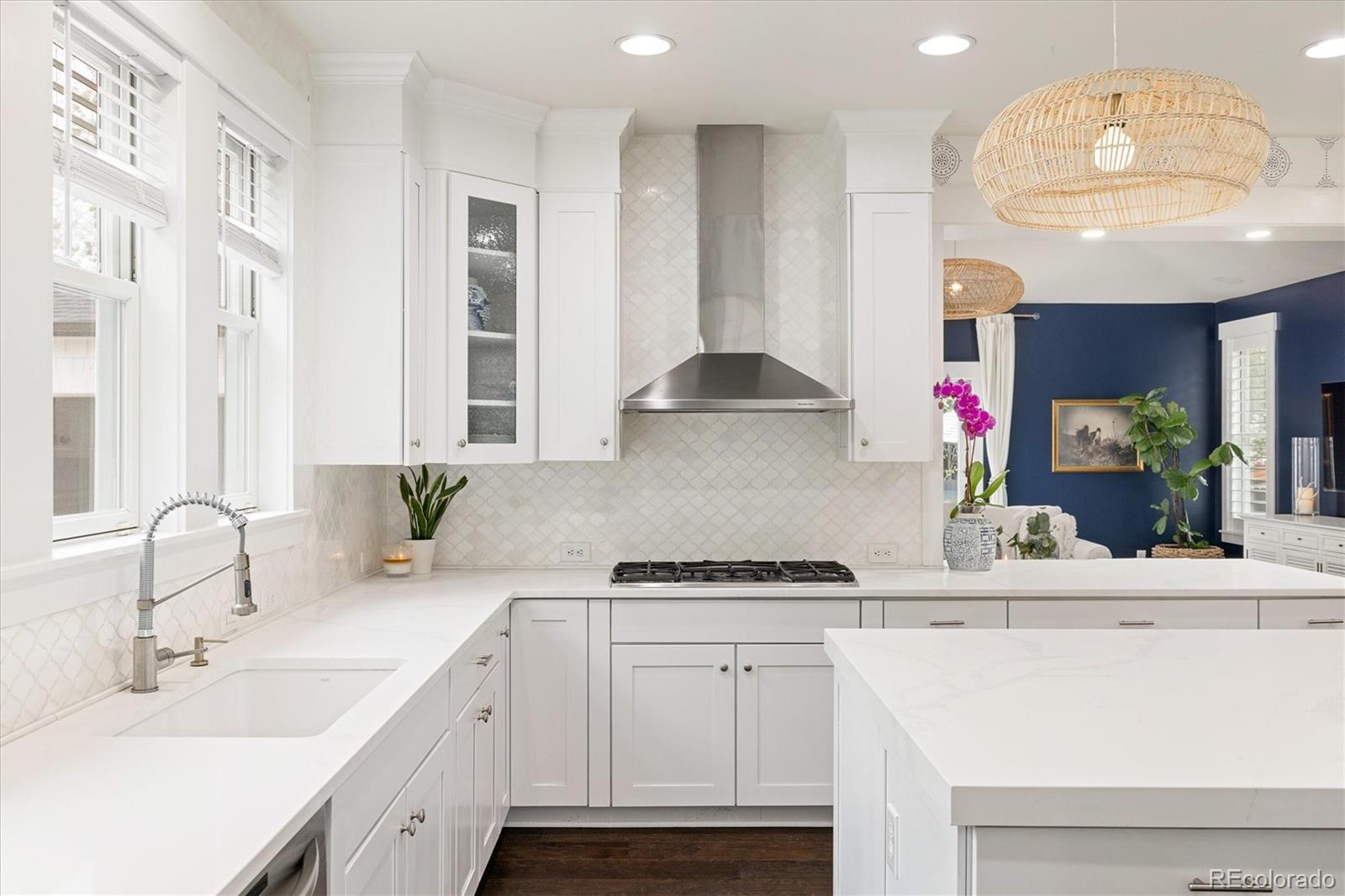 MLS Image #11 for 650  ivanhoe street,denver, Colorado