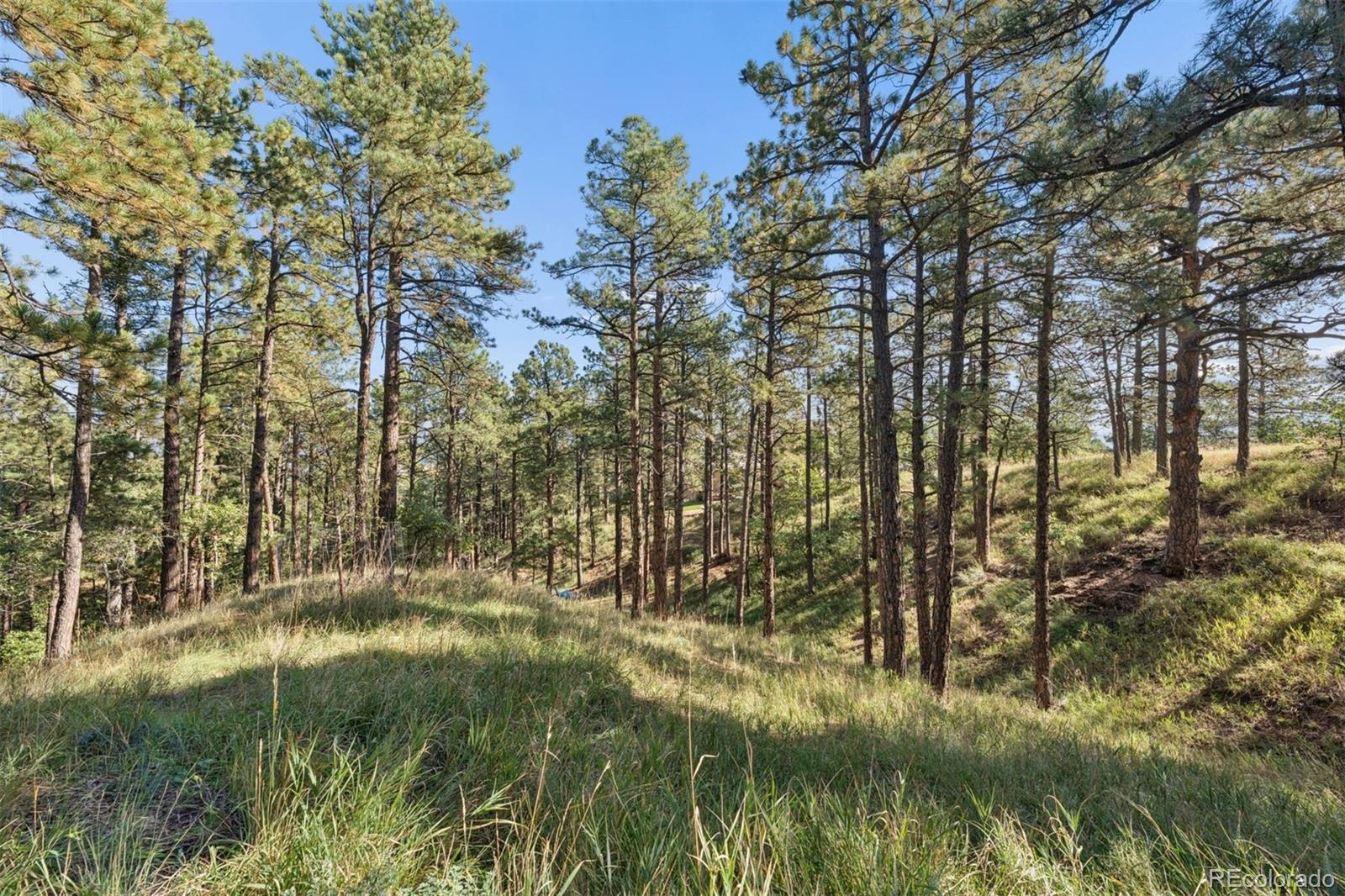 MLS Image #40 for 17  midland road,colorado springs, Colorado