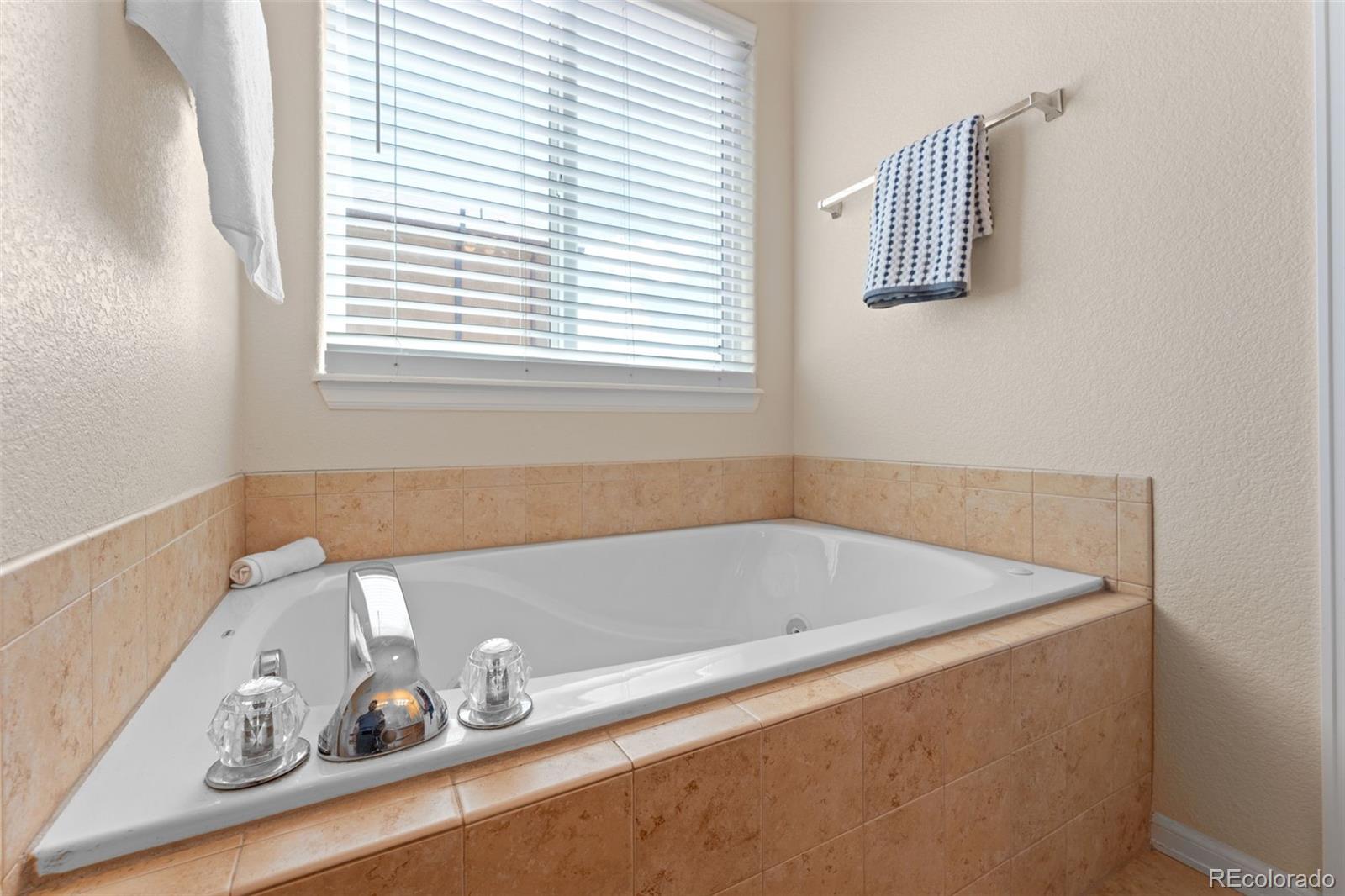 MLS Image #18 for 12407  mount bross place,peyton, Colorado