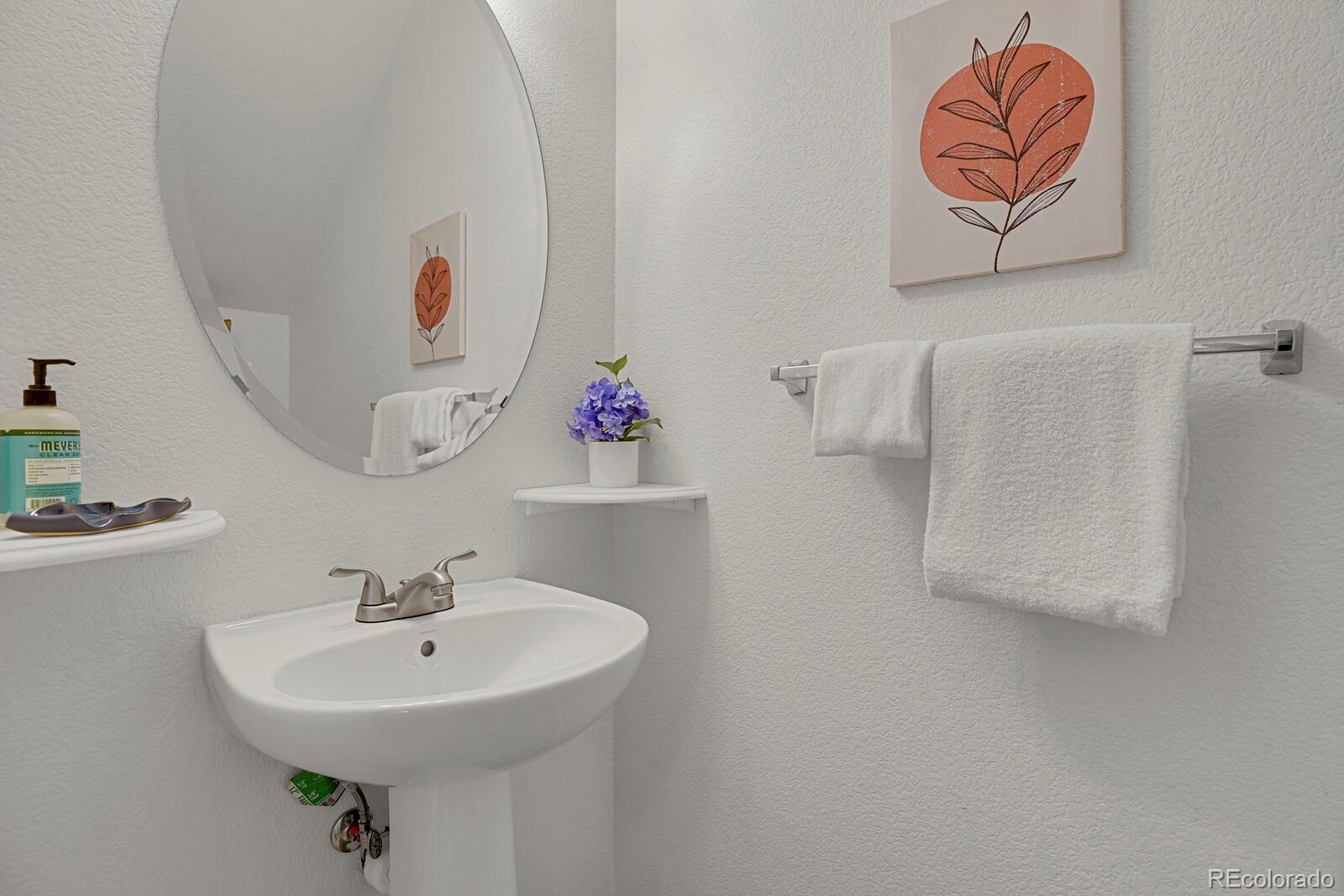 MLS Image #15 for 7770  sandy springs point,fountain, Colorado