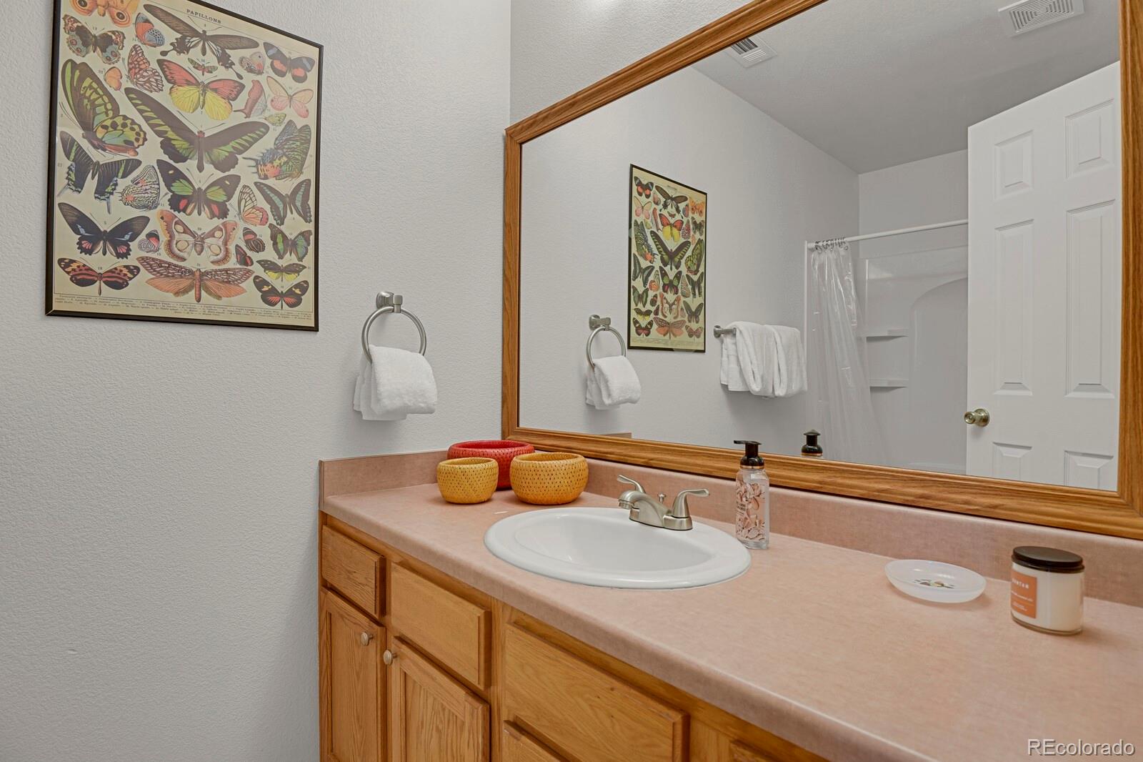 MLS Image #20 for 7770  sandy springs point,fountain, Colorado