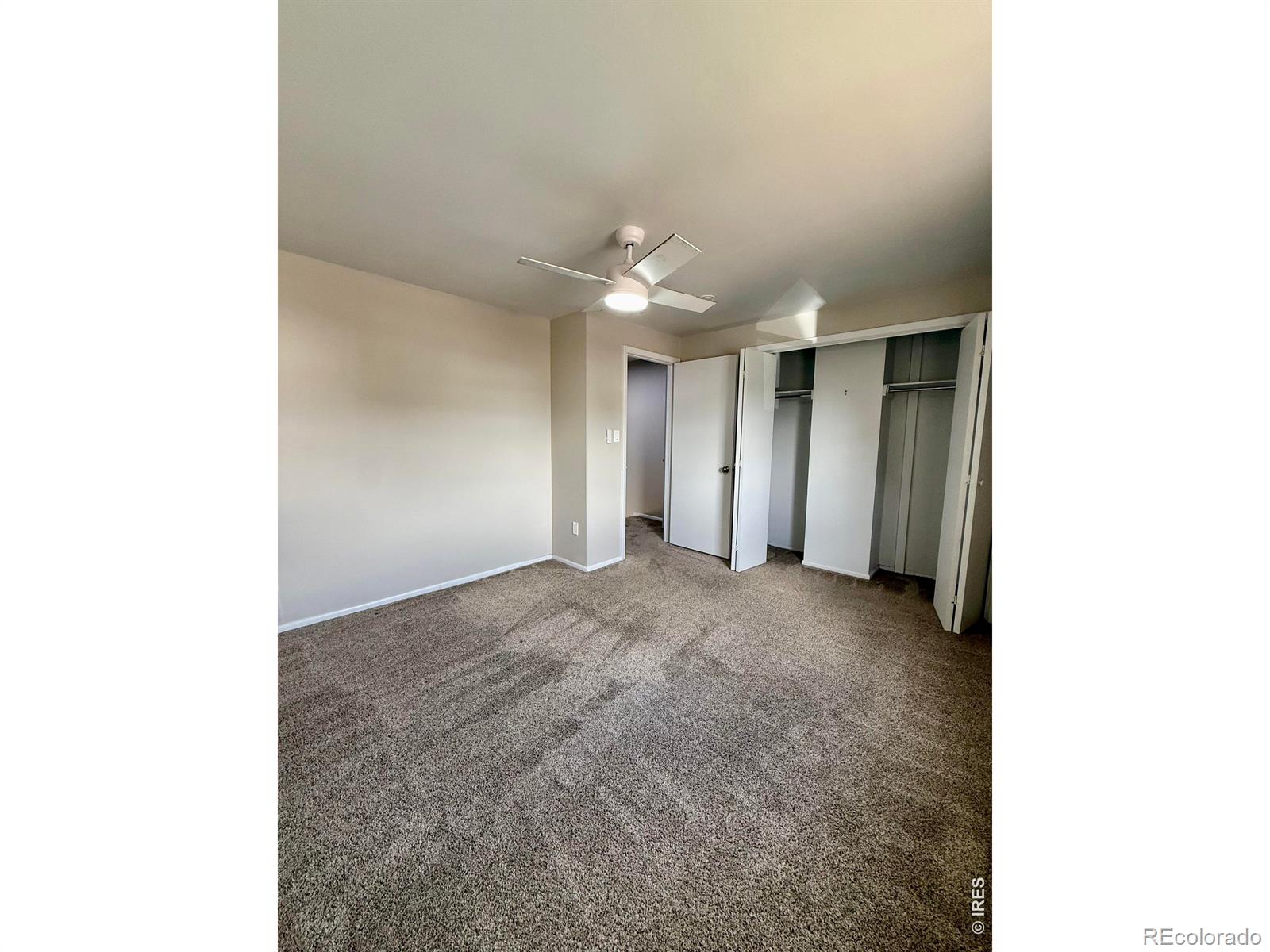 MLS Image #14 for 221  chestnut street,windsor, Colorado