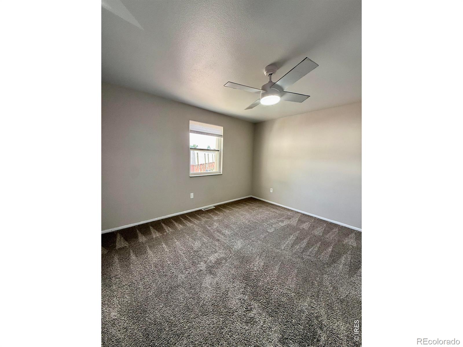 MLS Image #16 for 221  chestnut street,windsor, Colorado