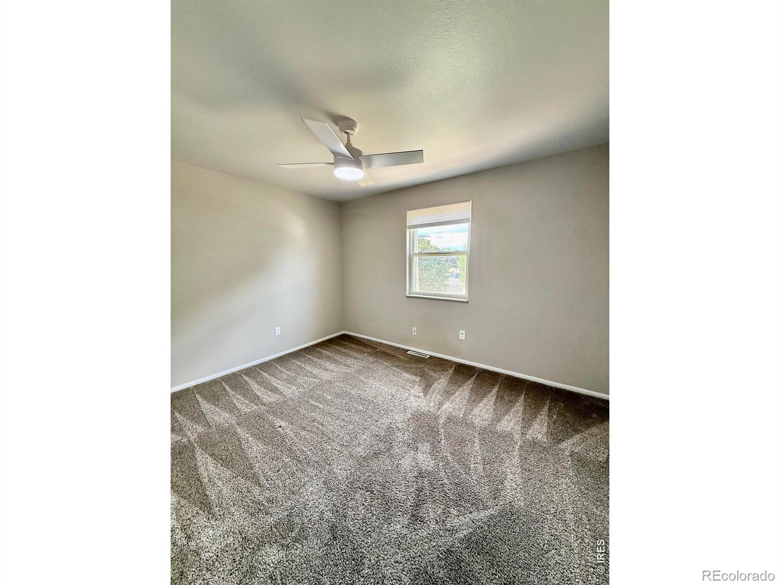 MLS Image #19 for 221  chestnut street,windsor, Colorado