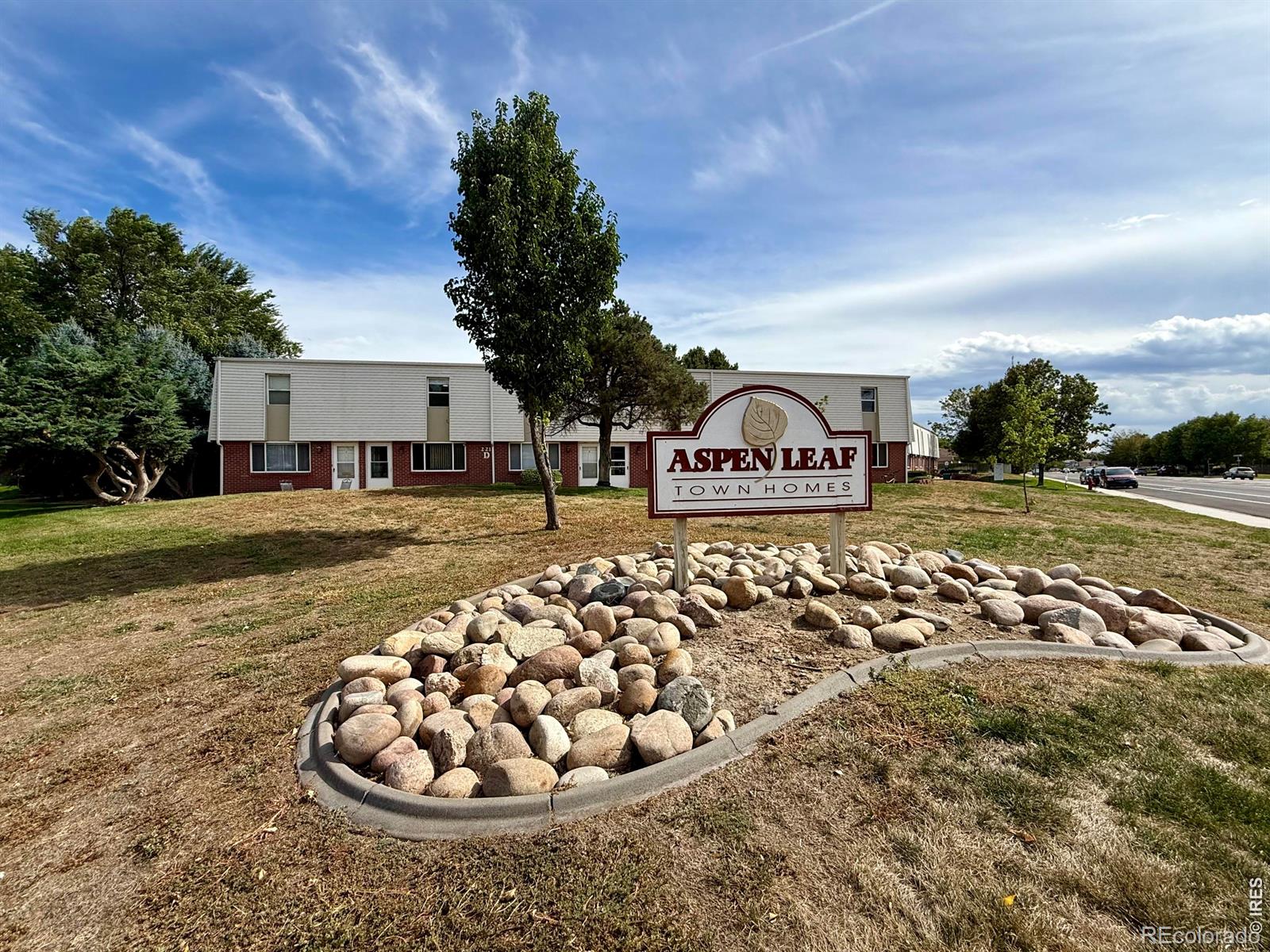 MLS Image #2 for 221  chestnut street,windsor, Colorado