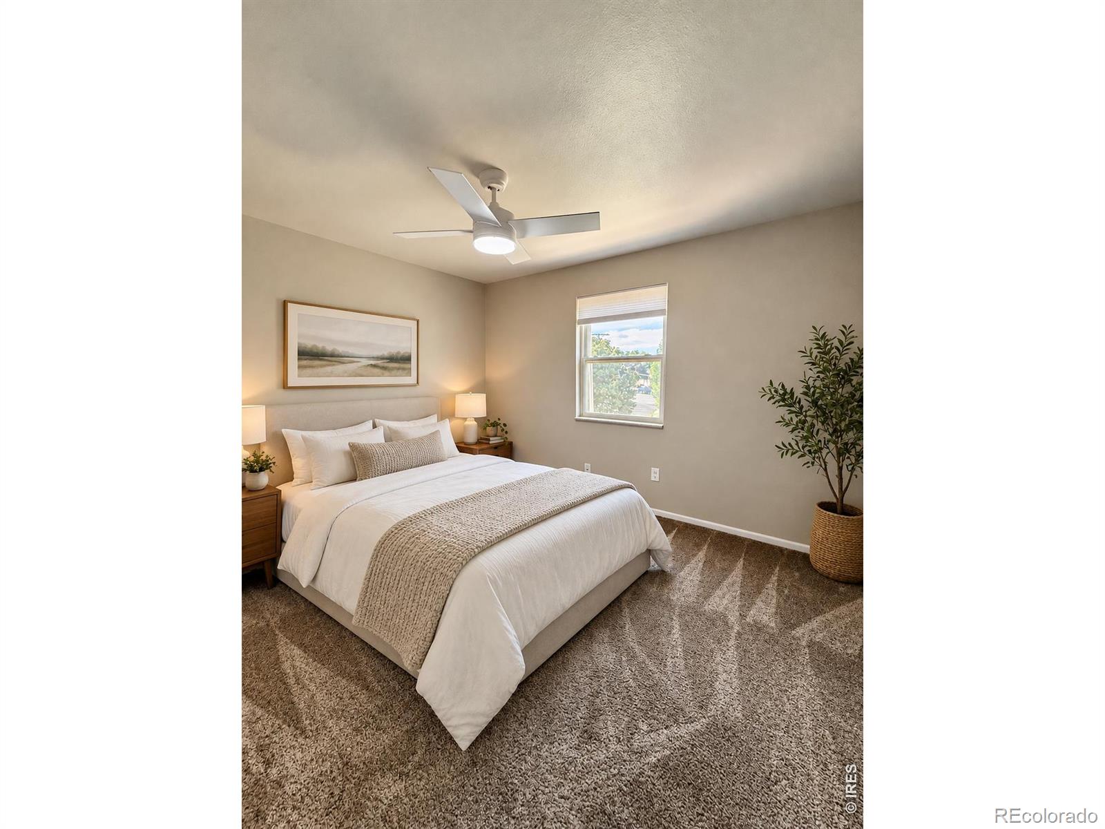 MLS Image #20 for 221  chestnut street,windsor, Colorado
