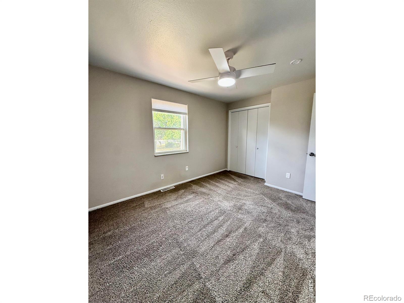 MLS Image #21 for 221  chestnut street,windsor, Colorado