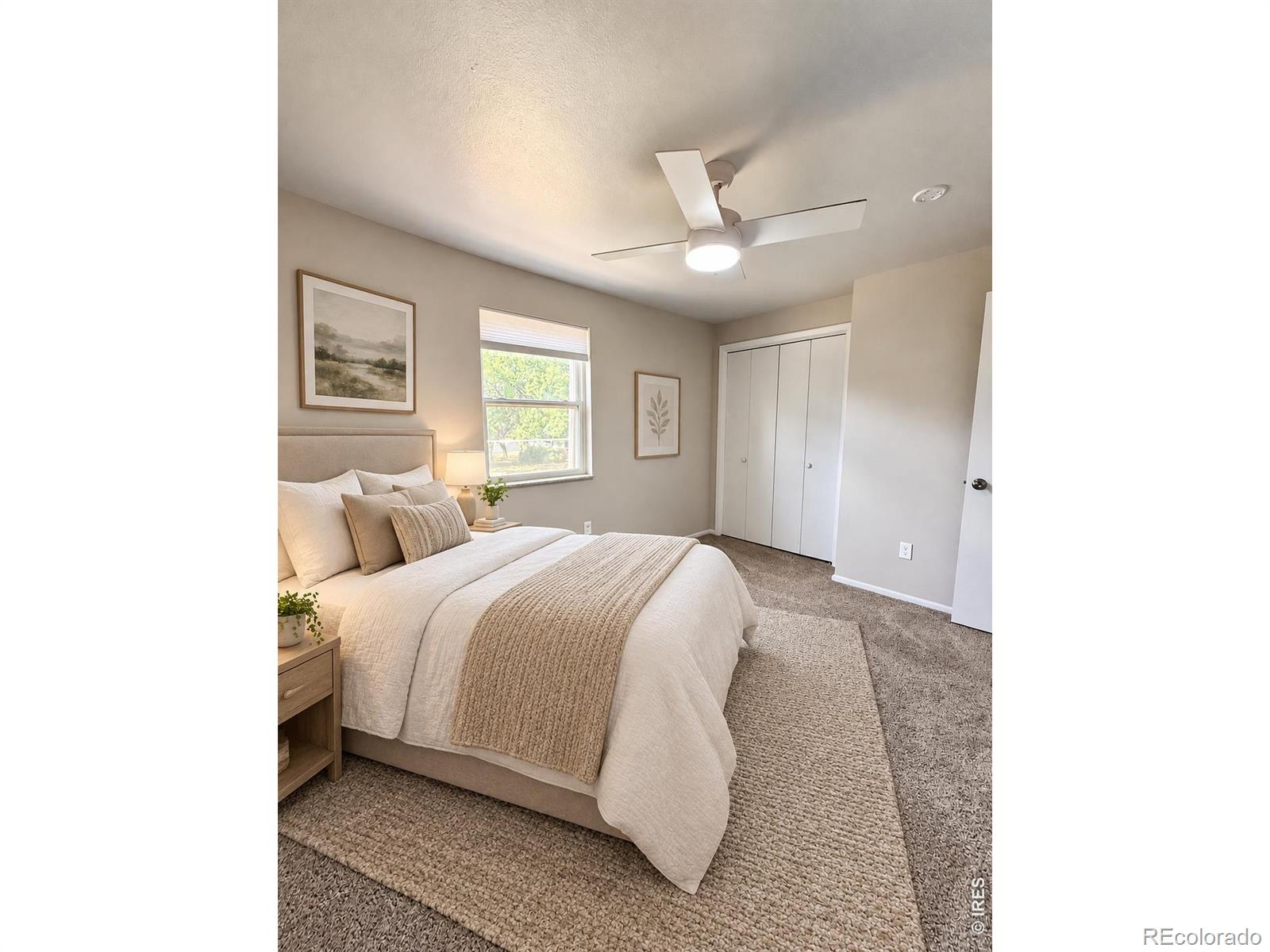 MLS Image #22 for 221  chestnut street,windsor, Colorado