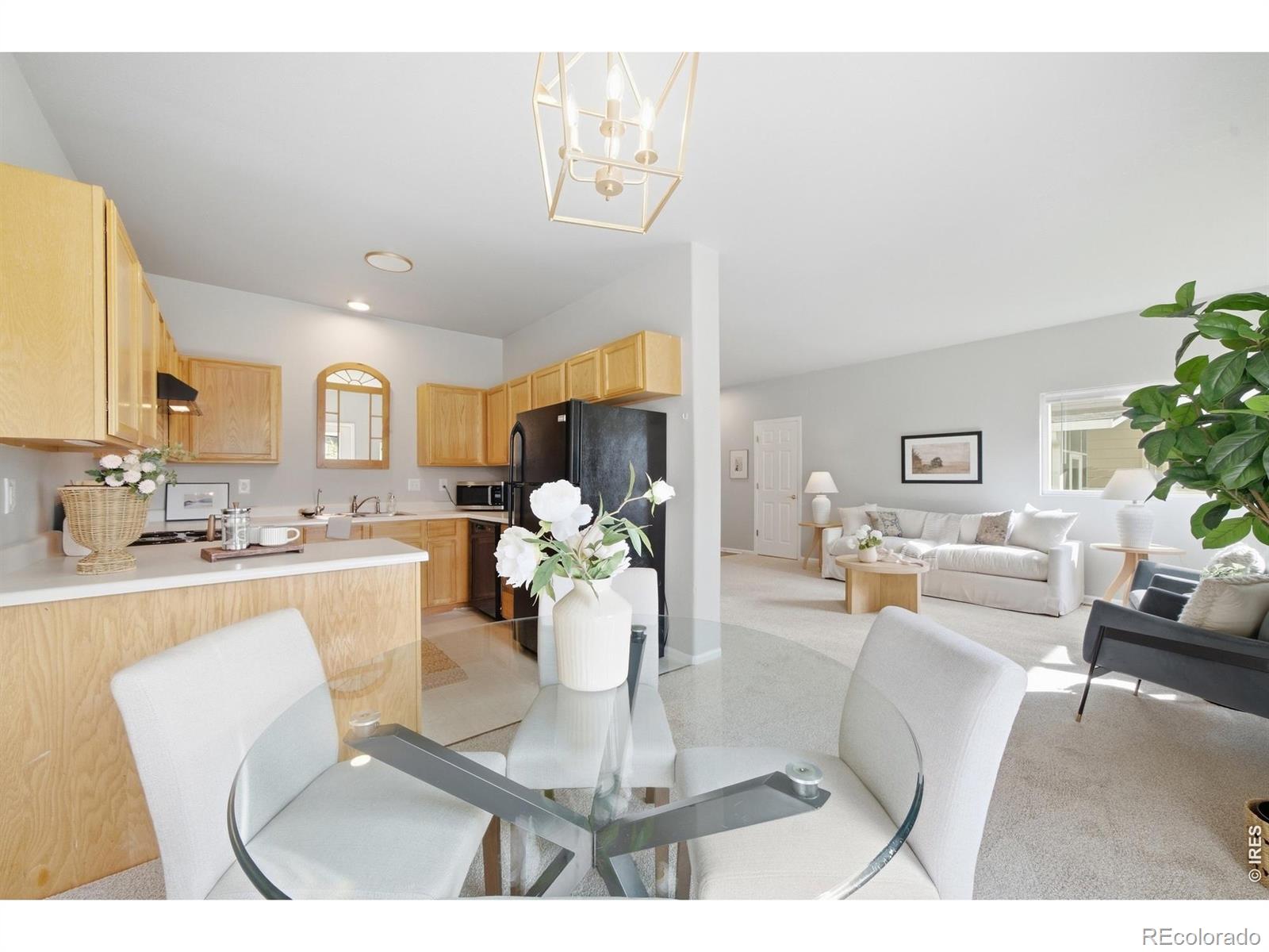 MLS Image #14 for 6521  finch court,fort collins, Colorado