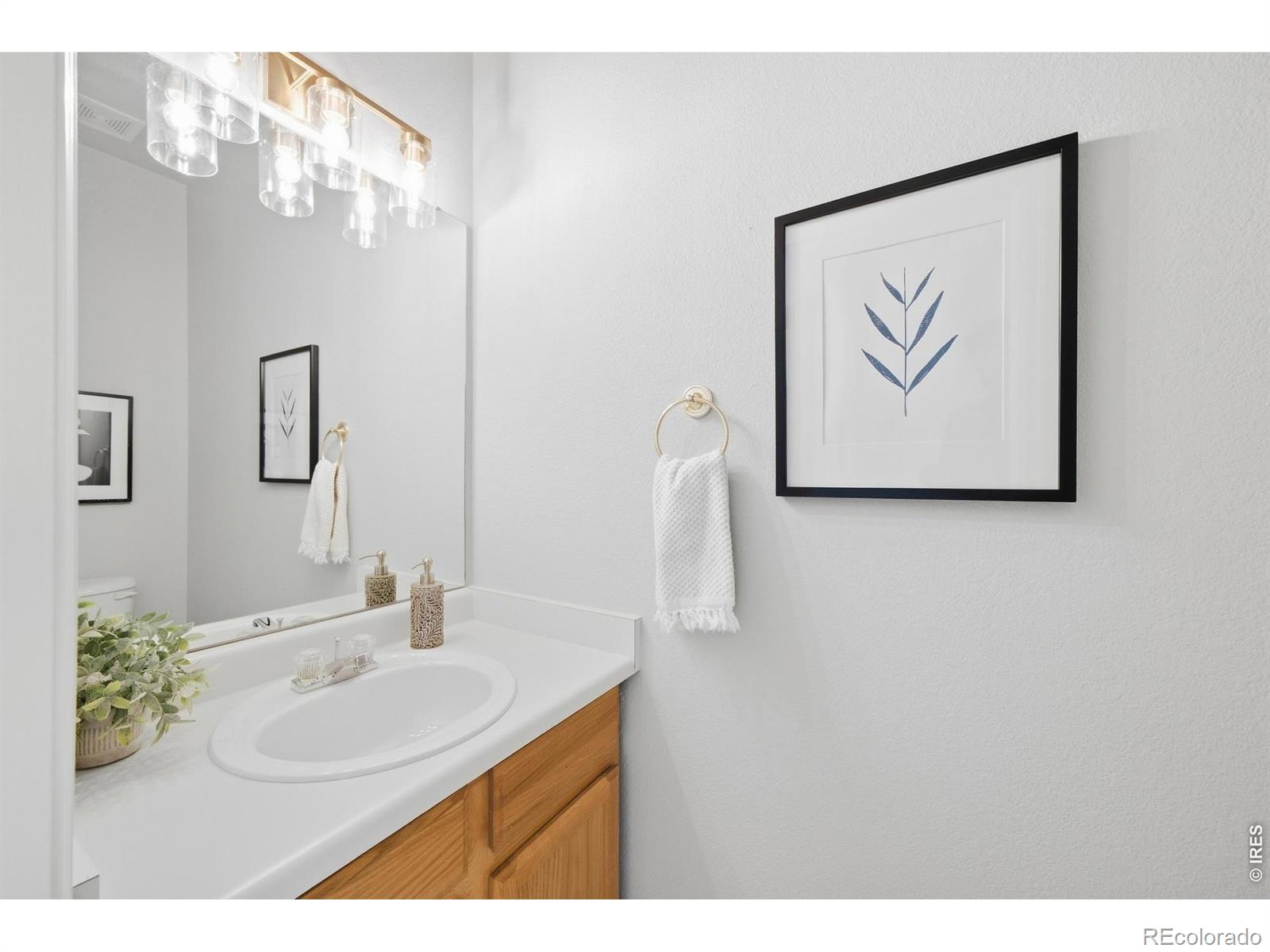 MLS Image #15 for 6521  finch court,fort collins, Colorado