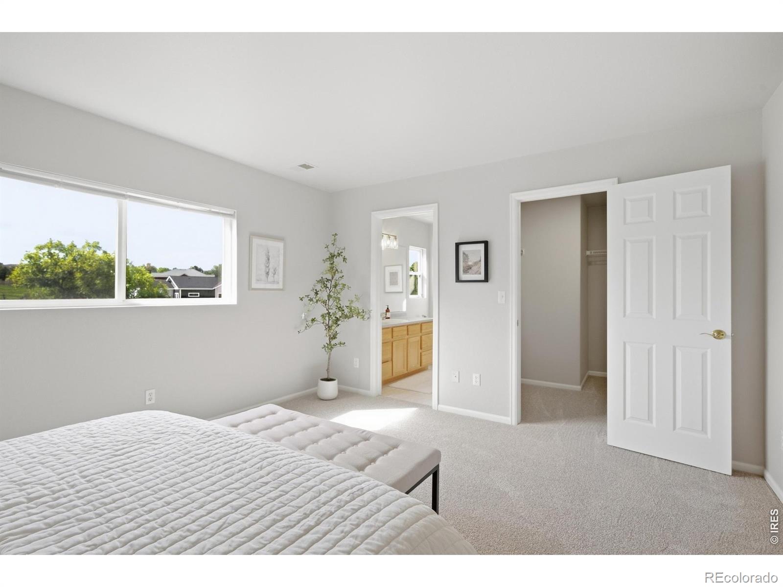 MLS Image #19 for 6521  finch court,fort collins, Colorado