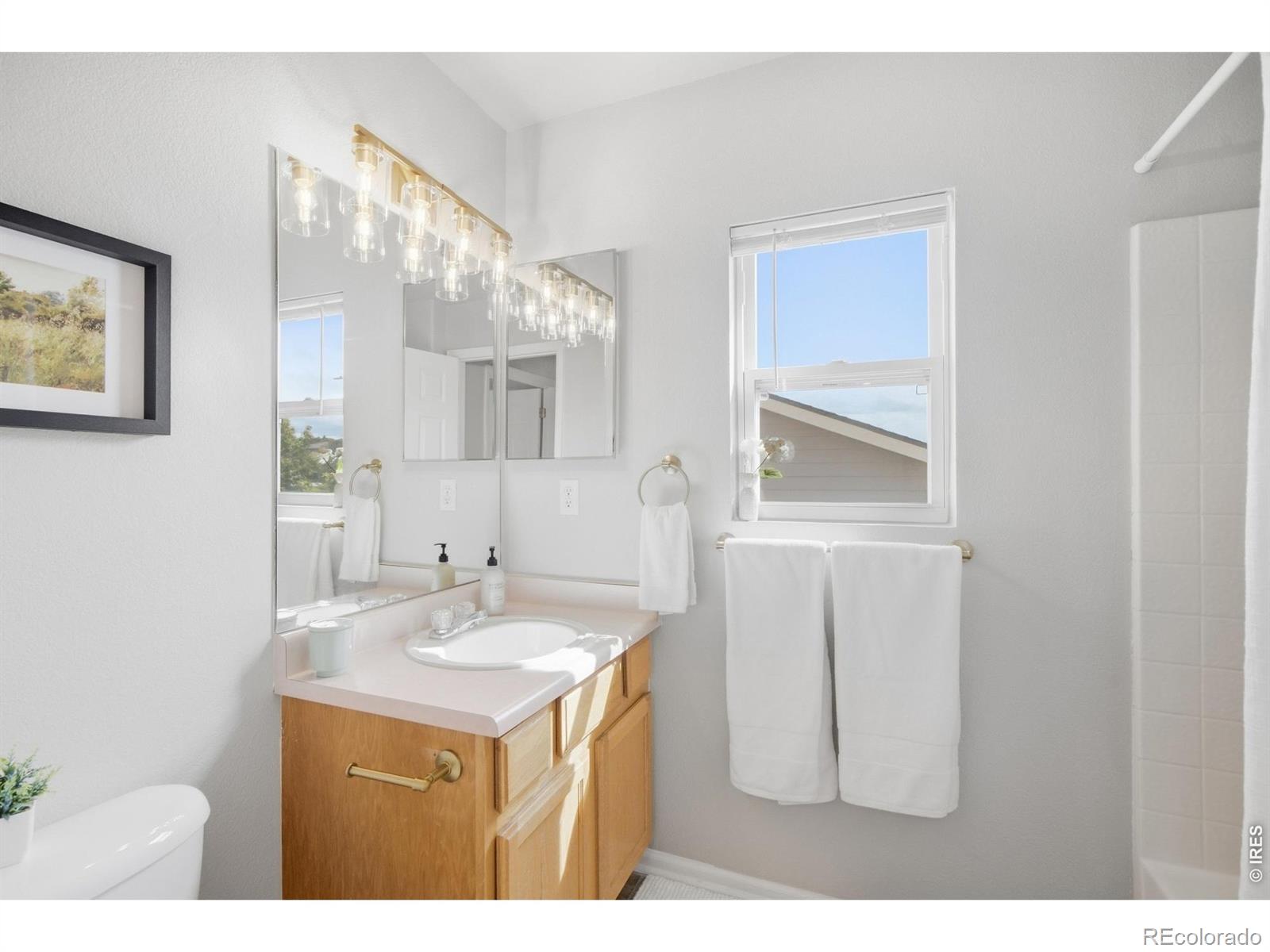 MLS Image #22 for 6521  finch court,fort collins, Colorado