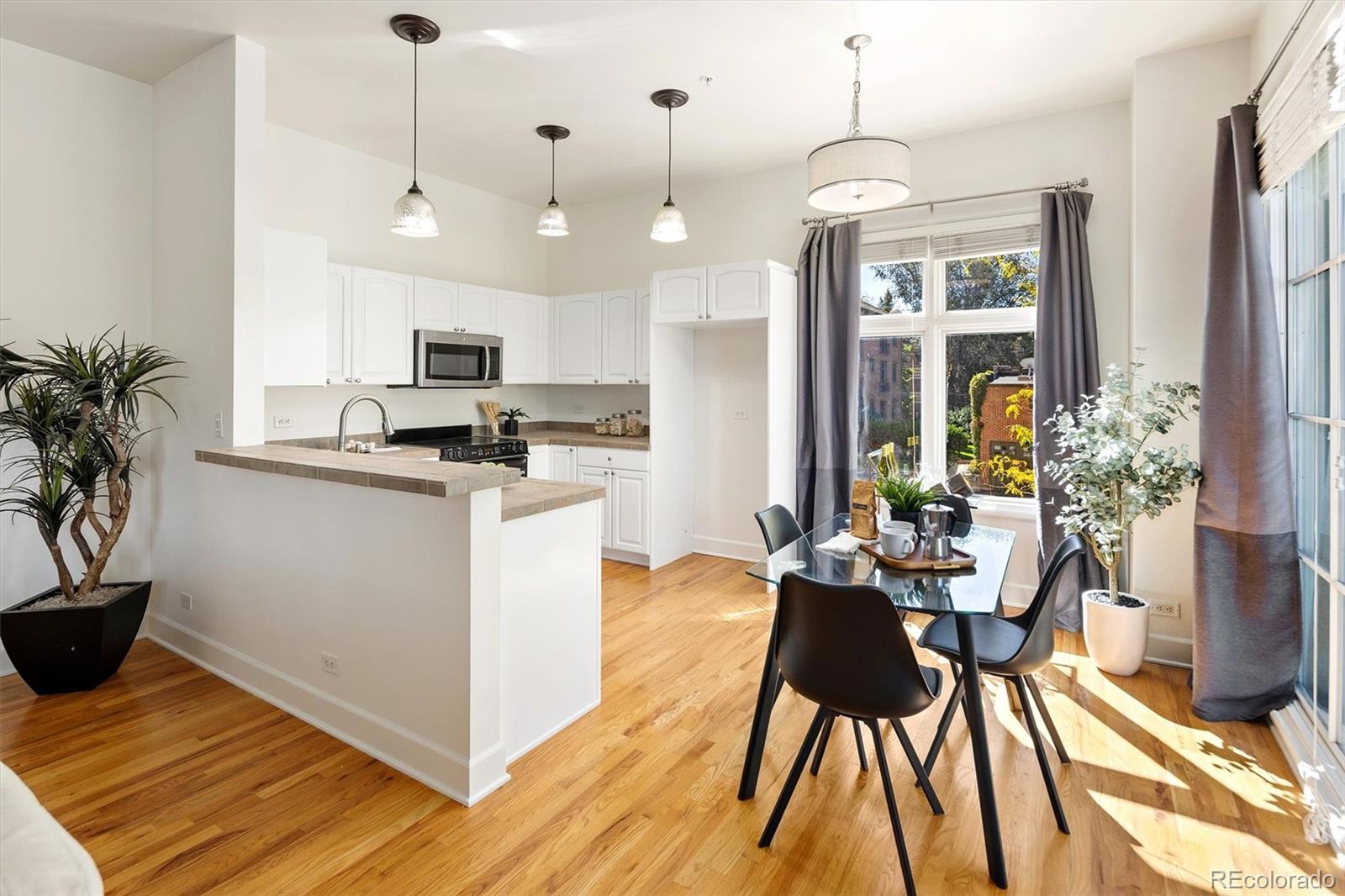 MLS Image #18 for 25 n downing street 2-203,denver, Colorado