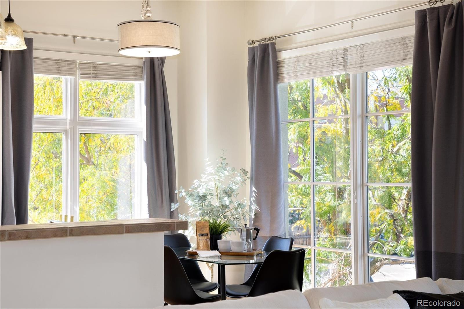 MLS Image #23 for 25 n downing street 2-203,denver, Colorado