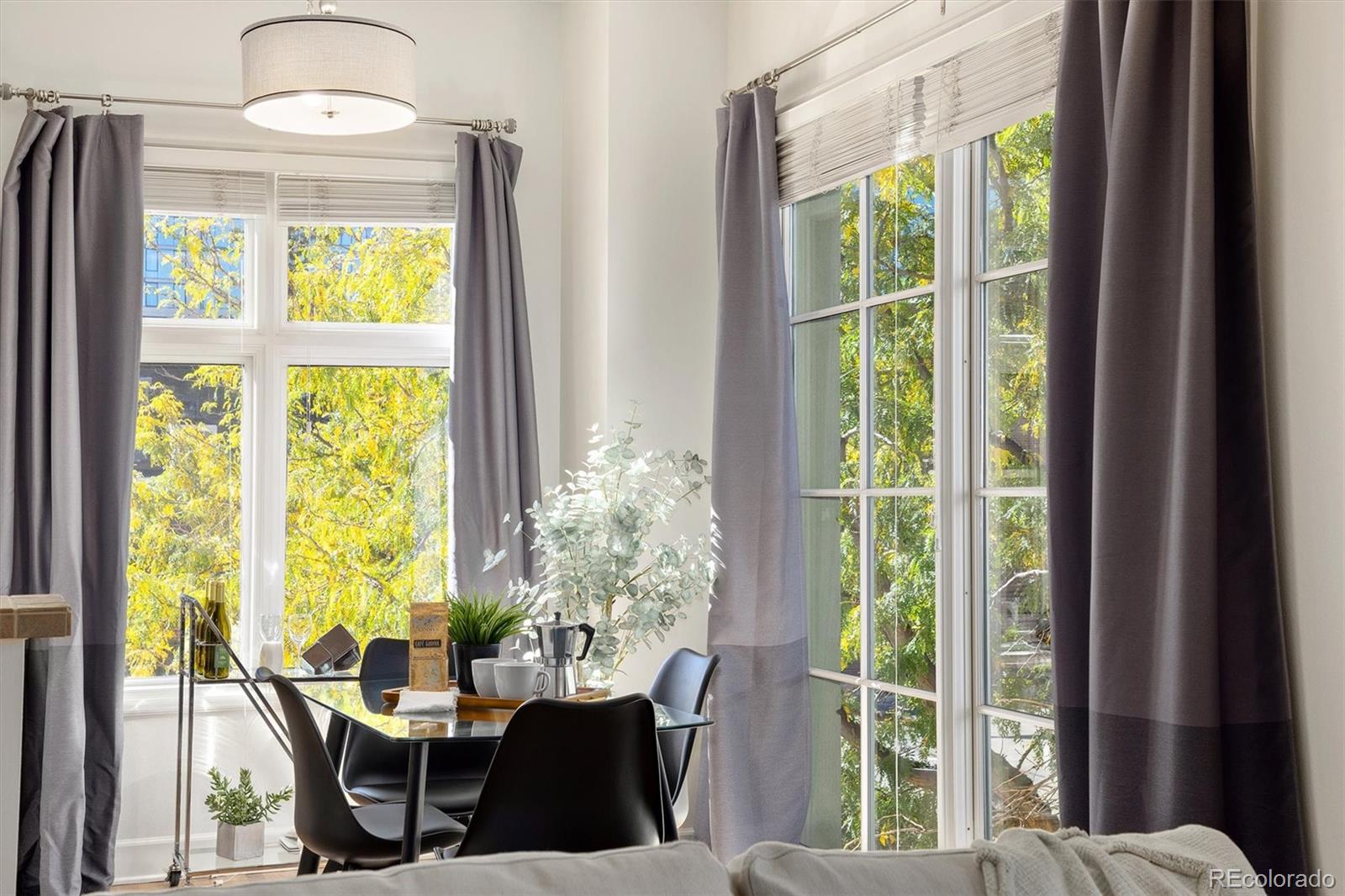 MLS Image #24 for 25 n downing street 2-203,denver, Colorado