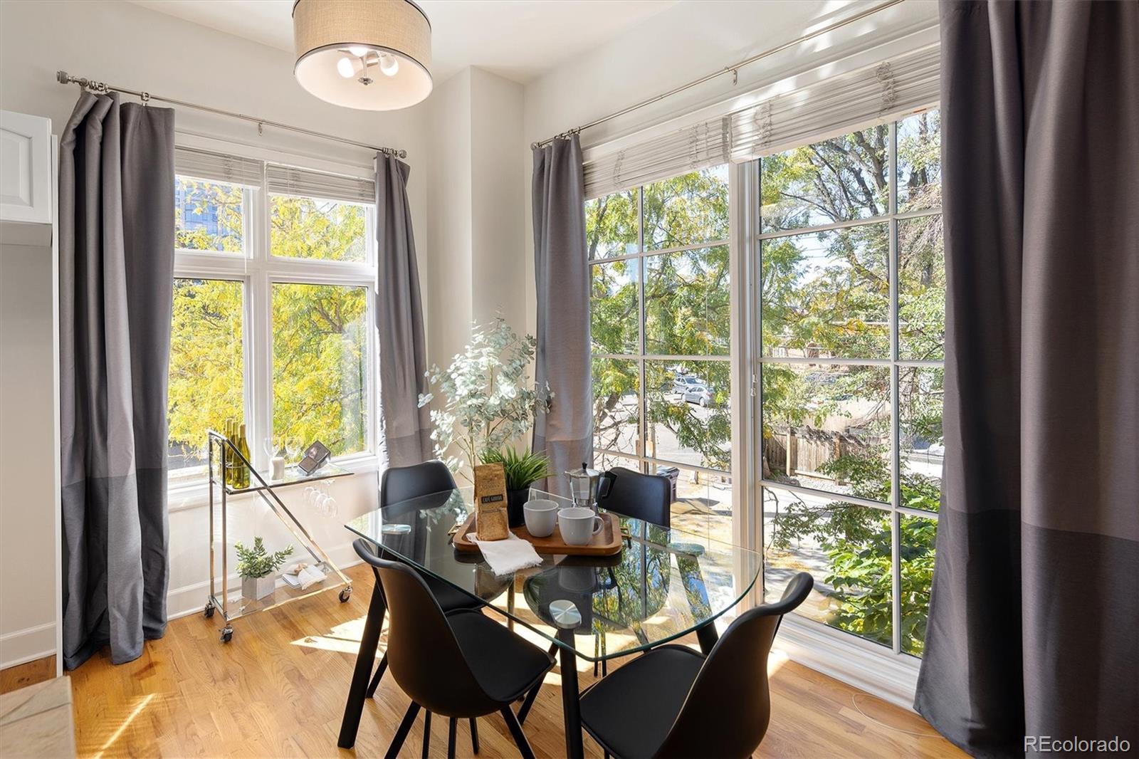 MLS Image #25 for 25 n downing street 2-203,denver, Colorado