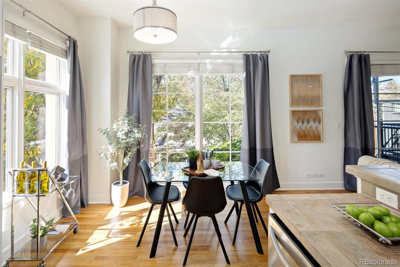 MLS Image #26 for 25 n downing street 2-203,denver, Colorado