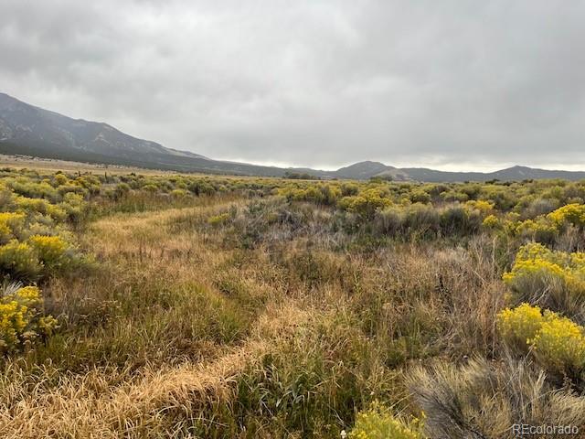 MLS Image #11 for 34643  spruce avenue,blanca, Colorado