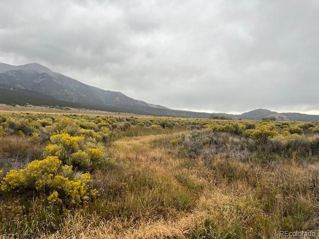 MLS Image #12 for 34643  spruce avenue,blanca, Colorado