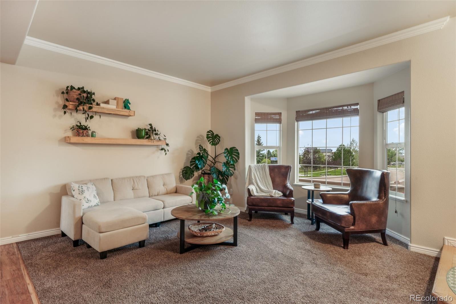 MLS Image #4 for 15523  candle creek drive,monument, Colorado