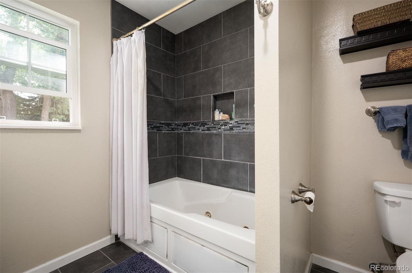 MLS Image #23 for 6690 s locust way,centennial, Colorado