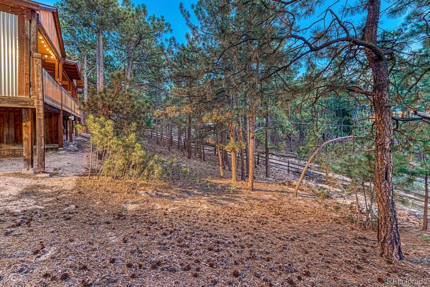 MLS Image #40 for 1115  becky drive,colorado springs, Colorado