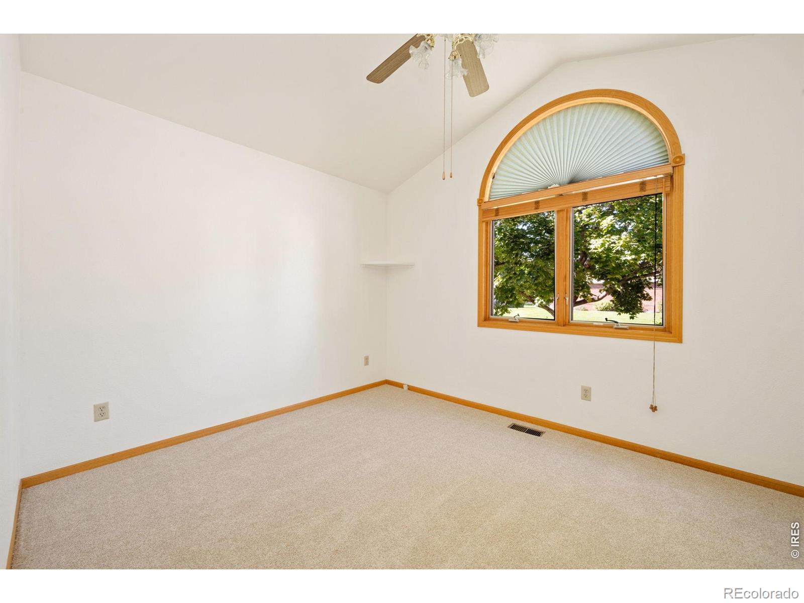 MLS Image #18 for 507  trailwood circle,windsor, Colorado