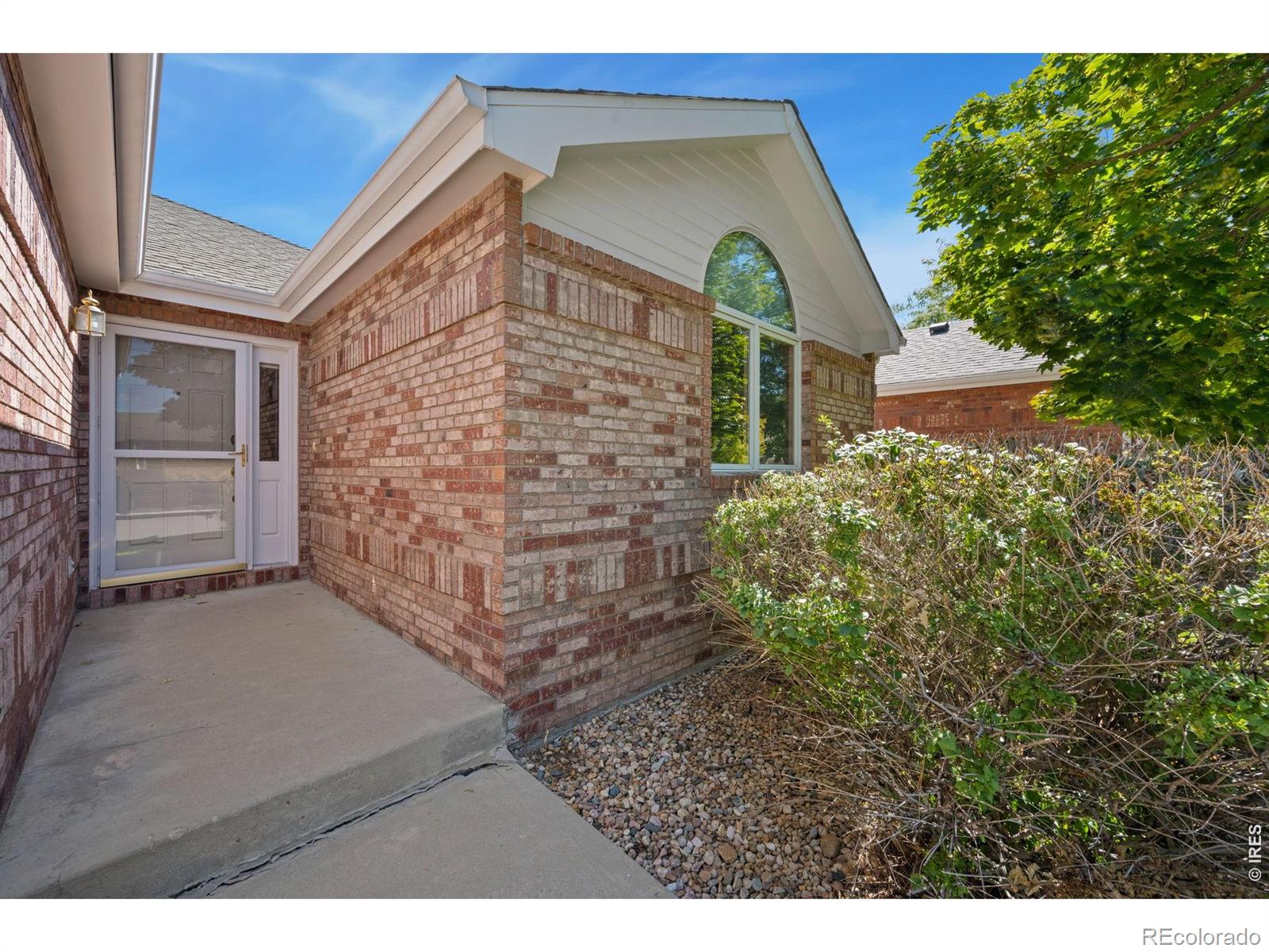 MLS Image #3 for 507  trailwood circle,windsor, Colorado