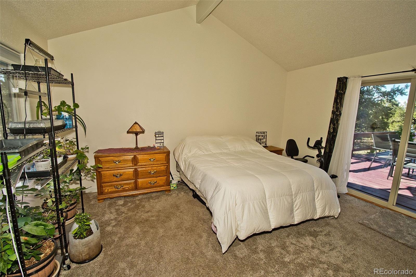 MLS Image #16 for 48  crestone overlook,crestone, Colorado