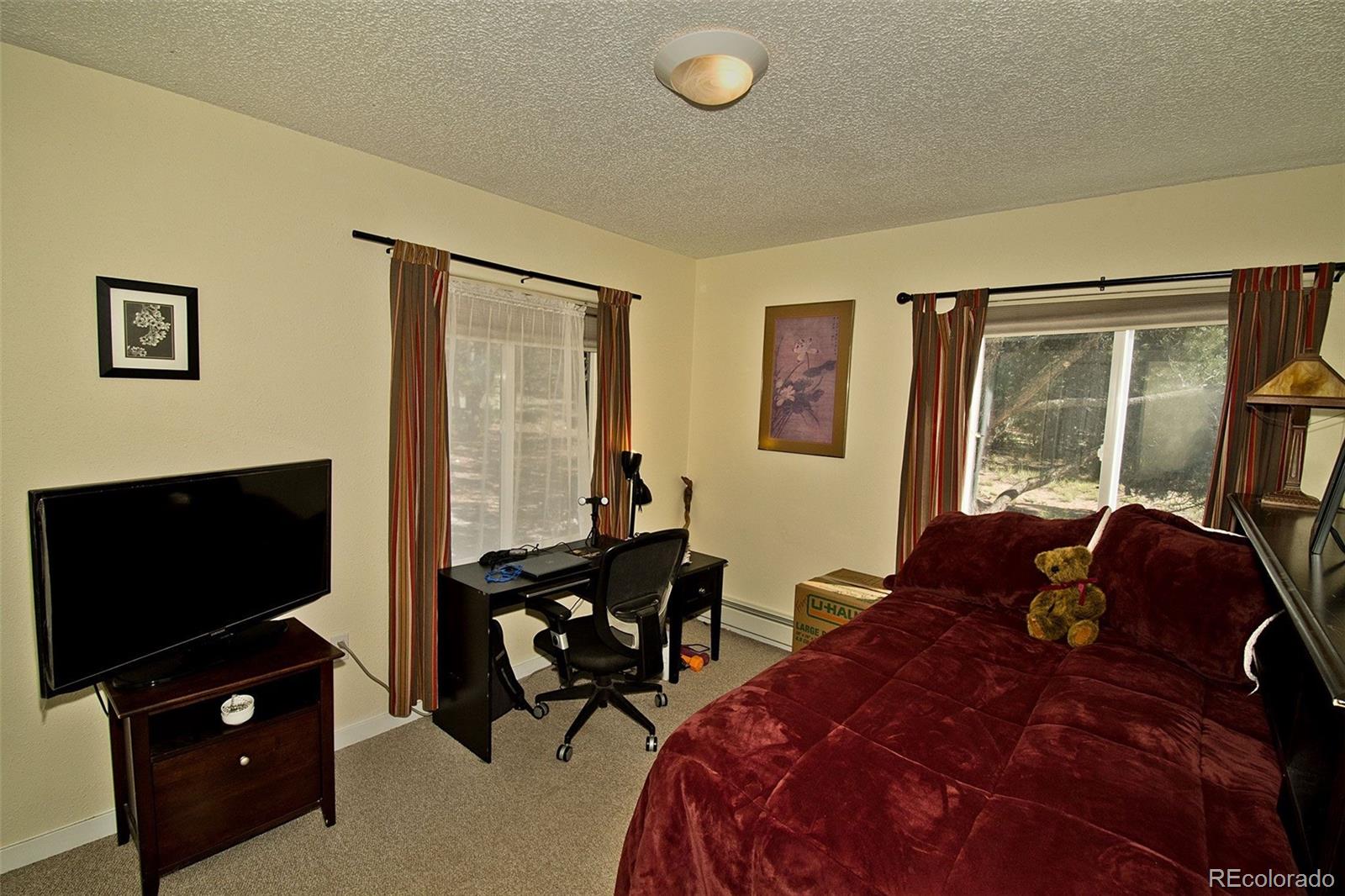 MLS Image #21 for 48  crestone overlook,crestone, Colorado