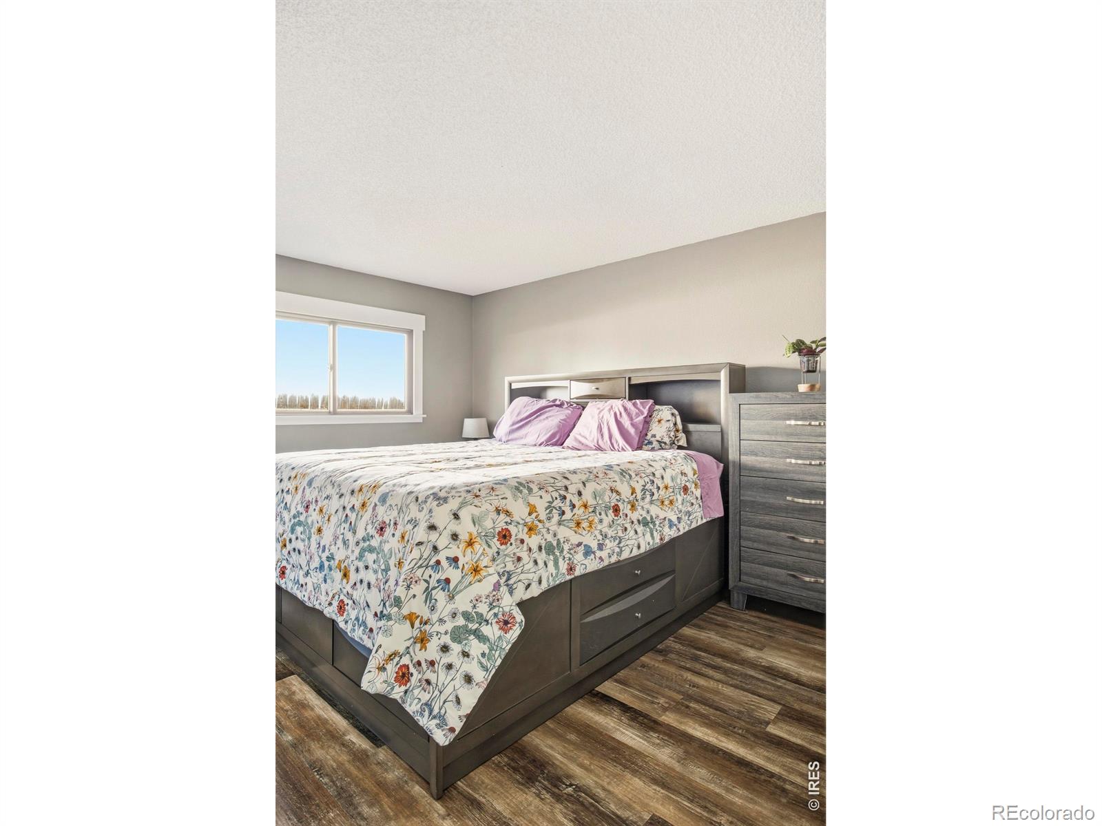 MLS Image #25 for 2539  eugene drive,loveland, Colorado