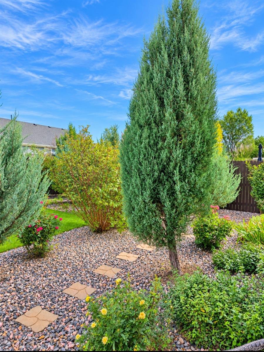 MLS Image #7 for 56511 e 24th avenue,strasburg, Colorado